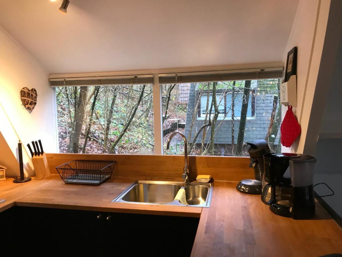 فيلا Heavenly Renovated Cabin Near Pittoresque Durbuy - Whistler المظهر الخارجي الصورة